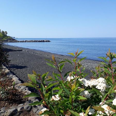 Pasa Tatil Koeyue Akcaabat Exterior foto